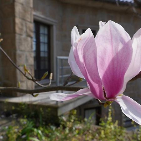 منزل الضيف كاسترو دير  في Alvores Do Tempo - Quinta De Turismo Rural المظهر الخارجي الصورة