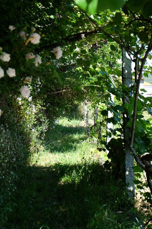 منزل الضيف كاسترو دير  في Alvores Do Tempo - Quinta De Turismo Rural المظهر الخارجي الصورة