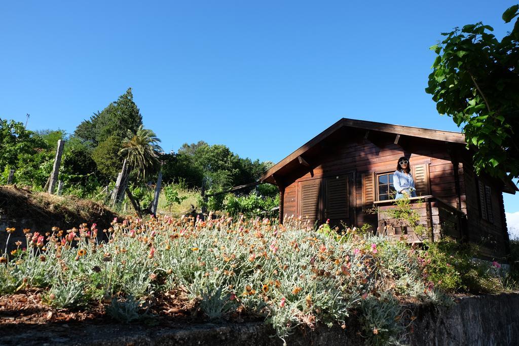 منزل الضيف كاسترو دير  في Alvores Do Tempo - Quinta De Turismo Rural المظهر الخارجي الصورة