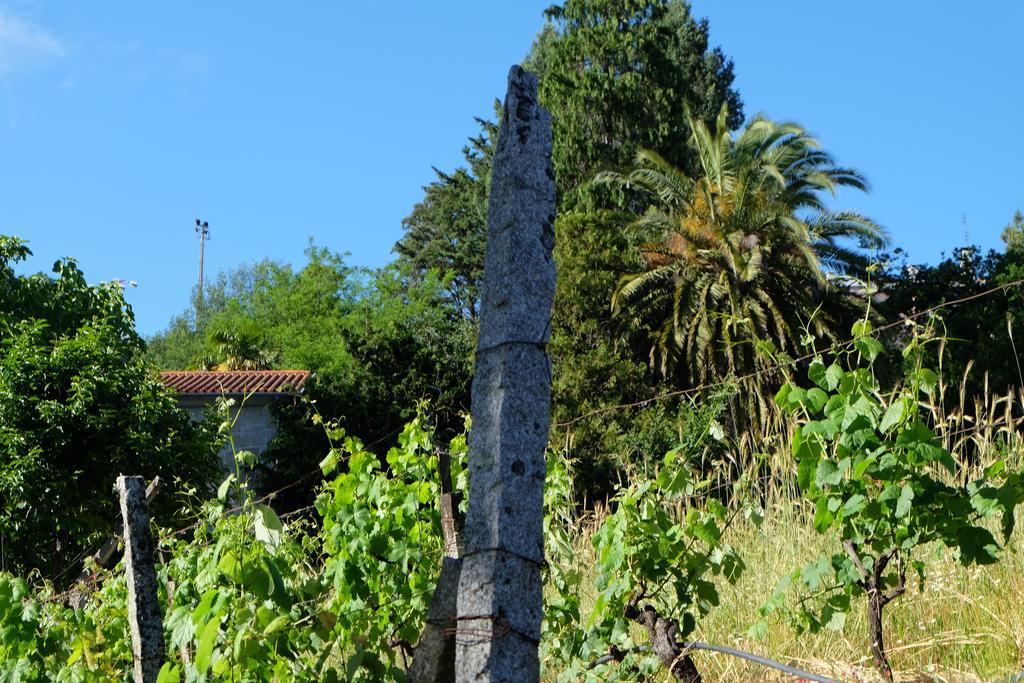 منزل الضيف كاسترو دير  في Alvores Do Tempo - Quinta De Turismo Rural المظهر الخارجي الصورة