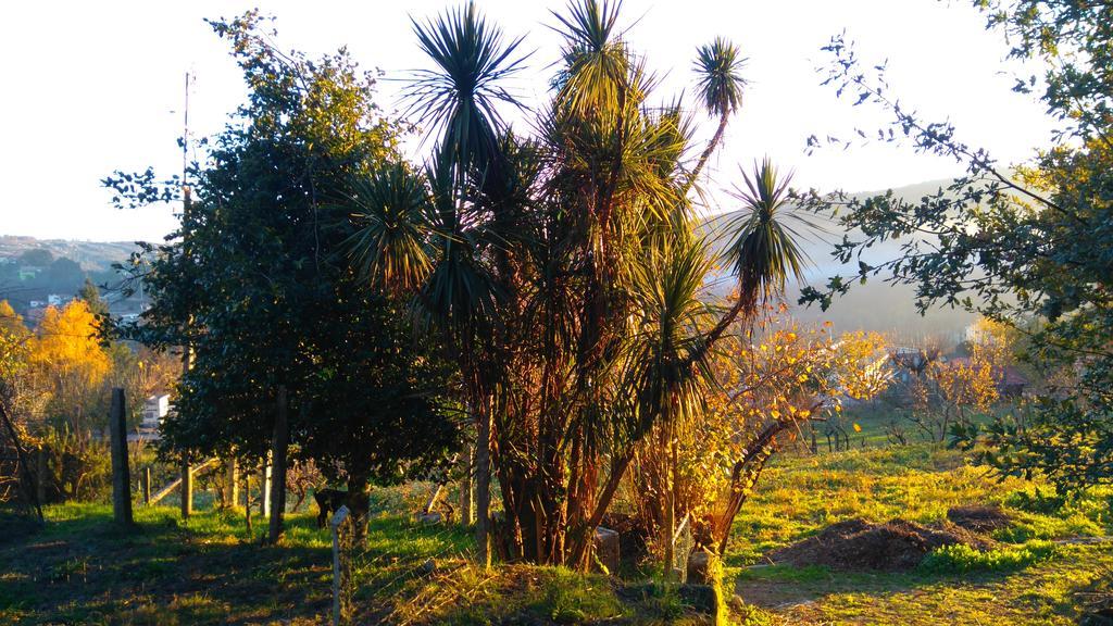 منزل الضيف كاسترو دير  في Alvores Do Tempo - Quinta De Turismo Rural المظهر الخارجي الصورة