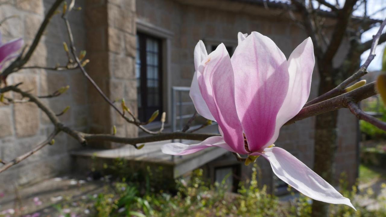 منزل الضيف كاسترو دير  في Alvores Do Tempo - Quinta De Turismo Rural المظهر الخارجي الصورة